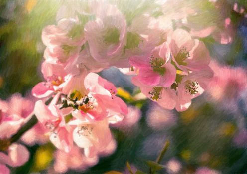 Illustration with pink petals of spring flowers on long branches attract insects to collect nectar.