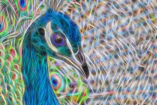 Abstract image of a peacock in the form of glowing fractal lines.