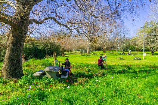 HaGoshrim, Israel - February 09, 2021: View of painters, colorful Anemone wildflowers, and trees, in Horshat Tal National Park, Hula Valley, Northern Israel
