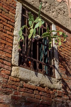 discovery of the city of Venice and its small canals and romantic alleys, Italy