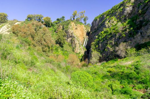 View of the Tanur waterfall, with landscape and wildflowers, in the Ayun Stream Nature Reserve, Upper Galilee, Northern Israel