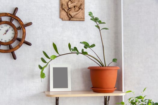 Home garden. Photo frame on the shelf. Potted flowers. Stylish botanical interior. The concept of home gardening. Template.
