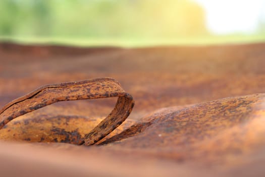 Rusty upturned lid in garden close up.