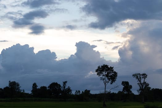 Landscape silhouette of trees with the sky in evening.