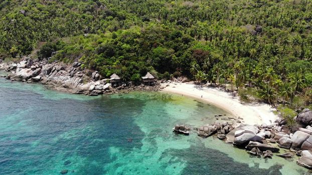 Bungalows and green coconut palms on tropical beach. Cottages on sandy shore of diving and snorkeling resort on Koh Tao paradise island near calm blue sea on sunny day in Thailand. Drone view