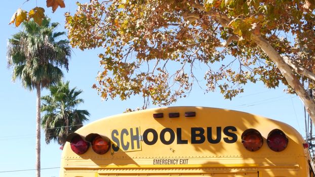 Yellow iconic school bus in Los Angeles, California USA. Classic truck for students back view. Vehicle stoplights for safety of children transportation. Public passenger transport for kids in suburb.