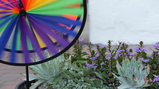 Colorful pinwheel spinning, weather wind vane, garden decoration in USA. Rainbow symbol of childhood, fantasy and imagination rotating. Multi colored spiral toy turning in breeze. Summertime dreaming.