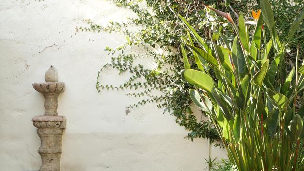 Mediterranean rustic building, empty side street. Green garden with natural greenery in spanish colonial style suburb. Evergreen succulent plants near white rural house. Mexican countryside aesthetic.