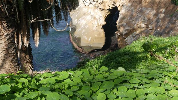 From above sea cave in La Jolla Cove. Lush foliage and sandstone grotto. Rock in pacific ocean lagoon, waves near steep cliff. Popular tourist landmark, natural arch in San Diego, California, USA.