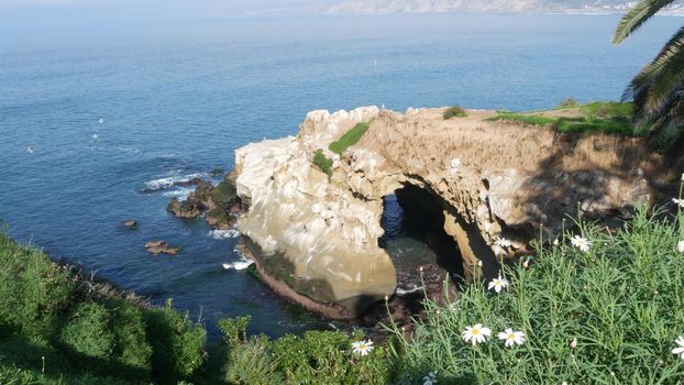 From above sea cave in La Jolla Cove. Lush foliage and sandstone grotto. Rock in pacific ocean lagoon, waves near steep cliff. Popular tourist landmark, natural arch in San Diego, California, USA.