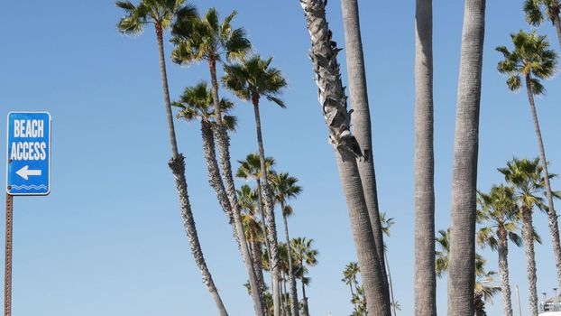 Beach sign and palms in sunny California, USA. Palm trees and seaside signpost. Oceanside pacific tourist resort aesthetic. Symbol of travel holidays and summertime vacations. Beachfront promenade.