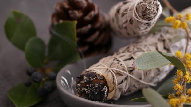 Dried white sage smudge stick, relaxation and aromatherapy. Smudging during psychic occult ceremony, herbal healing, yoga or aura cleaning. Essential incense for esoteric rituals and fortune telling.