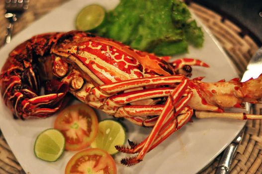 Closeup shot of served exotic red lobster on plate with garnish. Served exotic seafood dish in closeup
