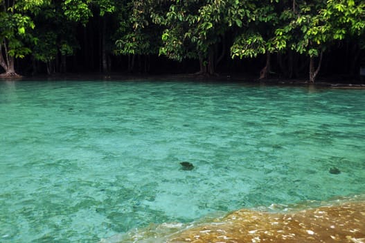 Turquoise reservoir in sunlight, Transparent blue water of wild pond with green trees growing on shore, Thailand