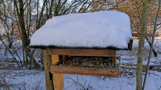 a bird feeder in a tree in wintertime