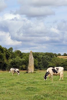 Menhir of Kerguezennec, Begard, department Cotes-d'Armor, Brittany, France