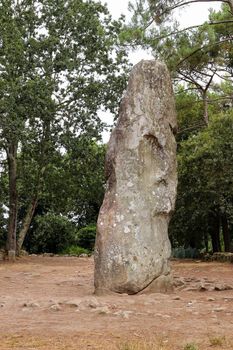 Geant du Manio - Giant of Manio - 6.5 meters high menhir is the largest menhir in Carnac