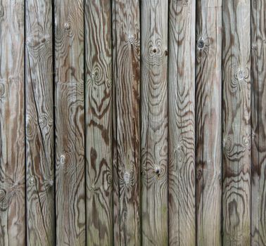 Palisade - fence from wooden stakes - wooden texture