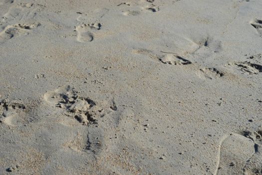 Natural background of sand with the prints of human feet