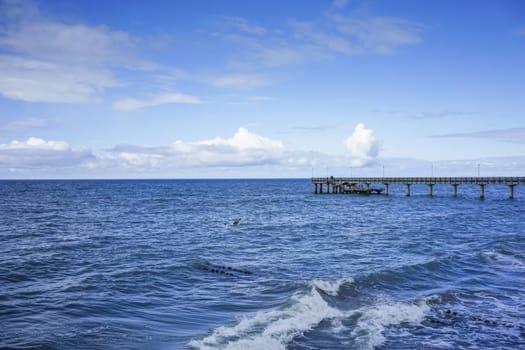Zelenogradsk, Russia. Seascape overlooking the long pier of the resort town with walking people.