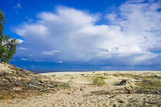 Sea landscape of the Baltic sea with coastal sand dunes of the Curonian spit. beauty of nature