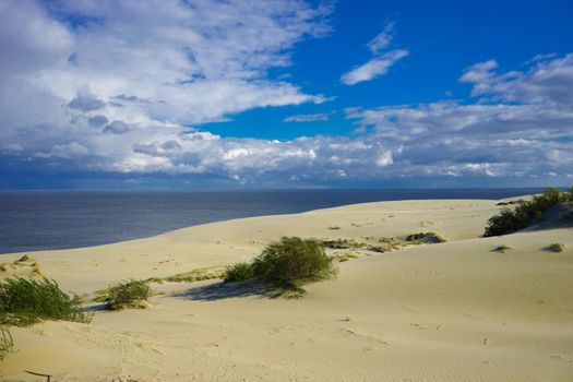 Sea landscape of the Baltic sea with coastal sand dunes of the Curonian spit. beauty of nature