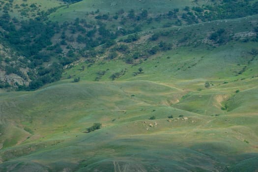 Natural landscape with views of the mountainside and vegetation