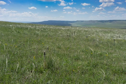 Panorama of the steppe landscape with grass and grass under the blue sky.