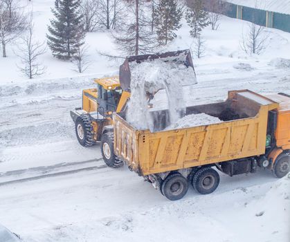 Big yellow tractor cleans up snow from the road and loads it into the truck. Cleaning and cleaning of roads in the city from snow in winter