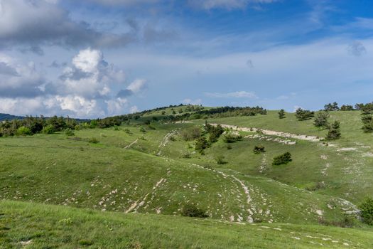 Landscape with hills covered with green grass.