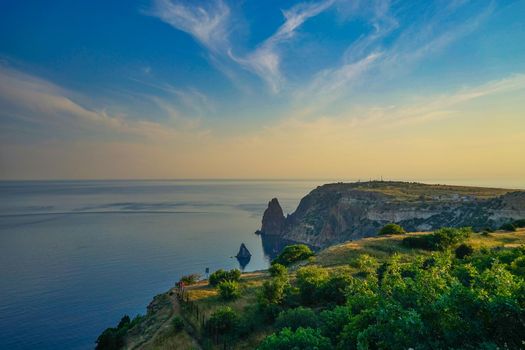 Seascape with coastline covered with vegetation.