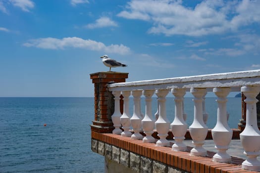 Sea landscape with a Seagull on the balcony on a background of blue sea.