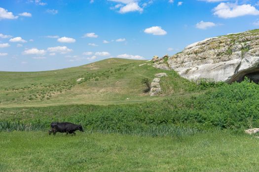 The natural landscape with a view of the white cliffs and caves. Belogorsk, Crimea