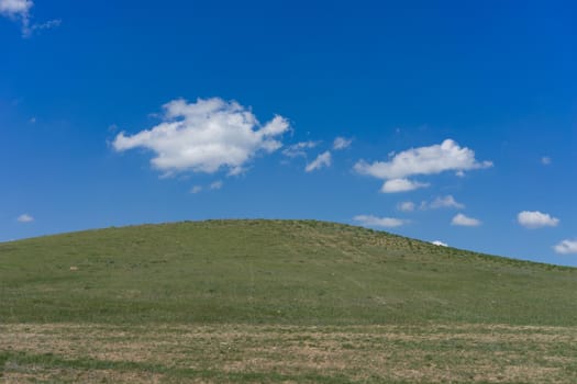 Green hill covered with grass on a blue sky background with clouds on a summer day.