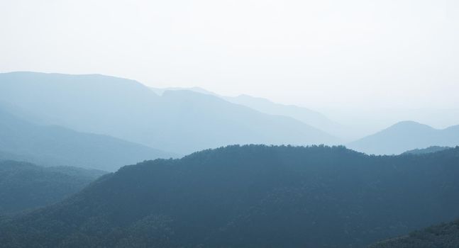 Goan morning fog, on the road to Surla Waterfall