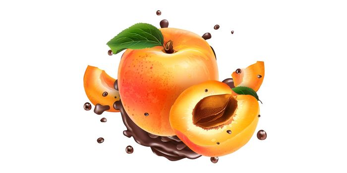 Whole and sliced apricots in chocolate splashes on a white background. Realistic style illustration.