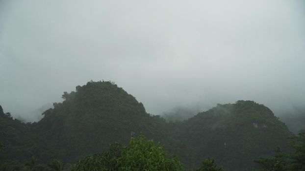 Fog in the mountainous rainforest. Fog in the mountains, and cloudy weather. Low clouds and fog on the mountain.