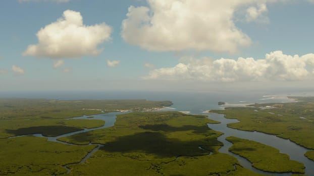Aerial view green ecology mangrove nature tropical rainforest to the bay of sea. Mangrove landscape. Siargao,Philippines.