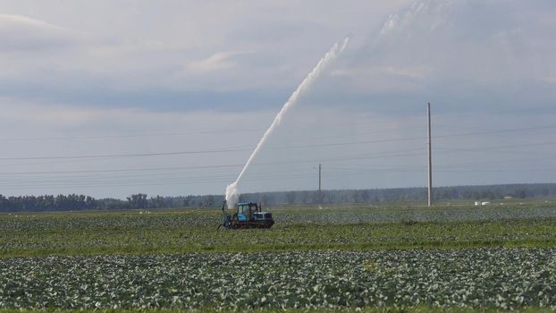 Aerial view: Irrigation equipment watering cabbage field. Irrigation system watering farm field.