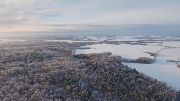 Winter forest, field. Aerial view Winter landscape countryside, forest, field. Winter landscape, field, forest, trees covered with frost snow
