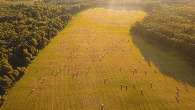 Aerial view rolls Haystacks straw on the field, after harvesting wheat. Summer Farm Scenery with Haystacks. Rural landscape at sunset.