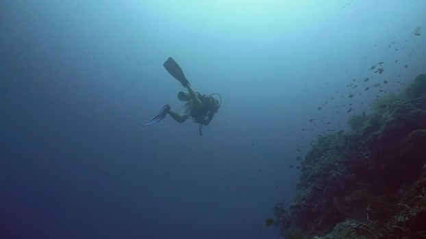 Scuba diver explores underwater coral reef and watching the fish.Scuba diver underwater in a tropical sea.Tropical fish on a coral reef. Diving and snorkeling in the tropical sea.