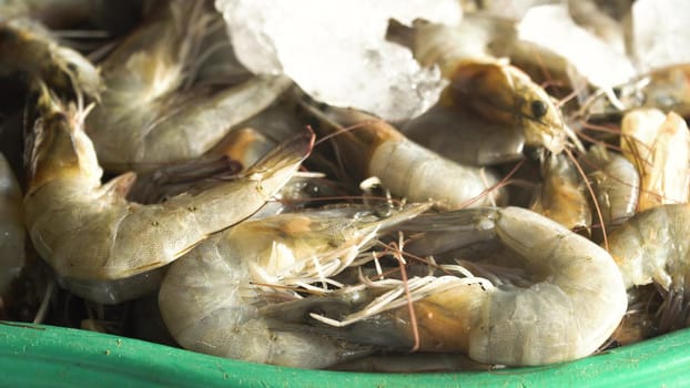 Shrimp on ice on the counter of the Asian street market. Freshly caught shrimps or Parapenaeus longirostris on the counter with ice at the fish shop. The raw shrimps in fish shop for sale. Philippines.