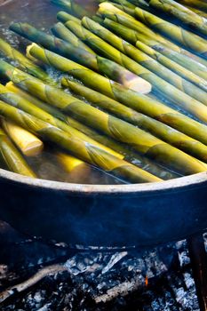 bamboo shoot boil in hot water