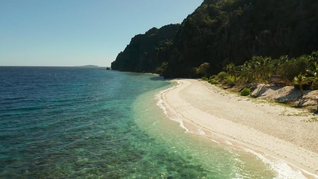 aerial drone tropical island and sand beach with palm trees. Malajon Island, Philippines, Palawan. Summer and travel vacation concept. beach and blue clear sea water