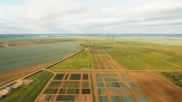 Aerial view of agricultural, cultivated fields. Agricultural landscape.Irrigated farmland