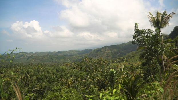 Mountains with rainforest covered with green vegetation and trees on the tropical island, landscape. Mountains and hills with wild forest, sky clouds. Hillside rainforest and jungle. Philippines, Cebu.