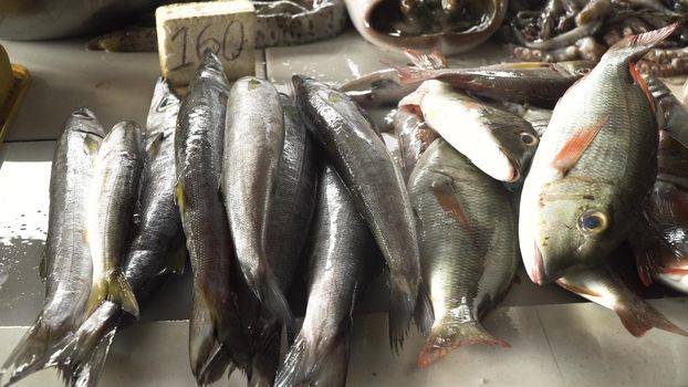 Fresh fish in Asian market. Sale of fresh sea fish in the Asian public store. Sea fish lying on the shopboard at one of the street markets. Philippines.