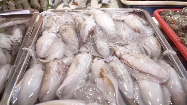 Squids on ice on the counter of the Asian street market. Freshly calamary in fish shop. Seafood on Market.The raw calamary in fish shop for sale. Philippines.