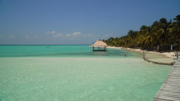Beautiful beach, palm trees by turquoise water. Onok Island, Balabac, Philippines. Summer and travel vacation concept